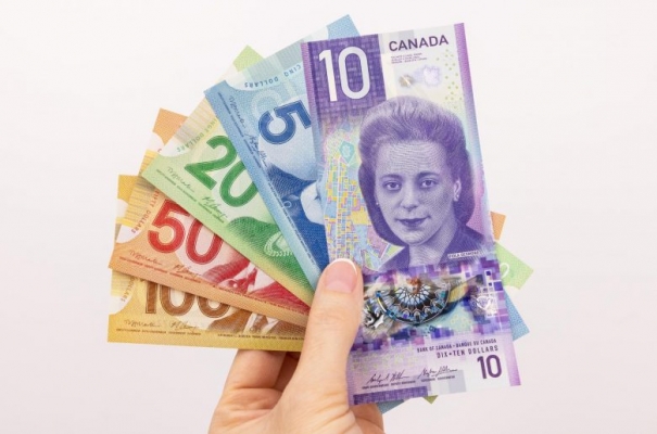 Small House Cost in Canada: What to Expect in 2025-2026